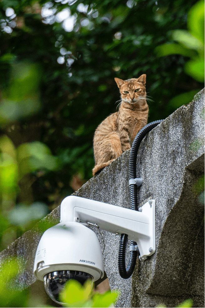 Types of Security Cameras &mdash; A Brief Guide