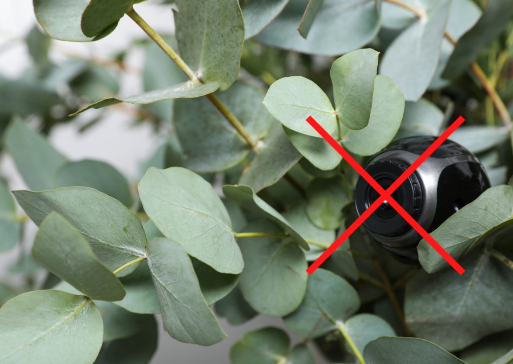 never install security camera behind plants