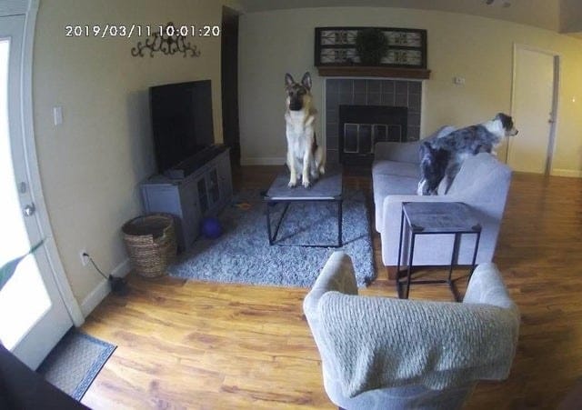 Home security cameras