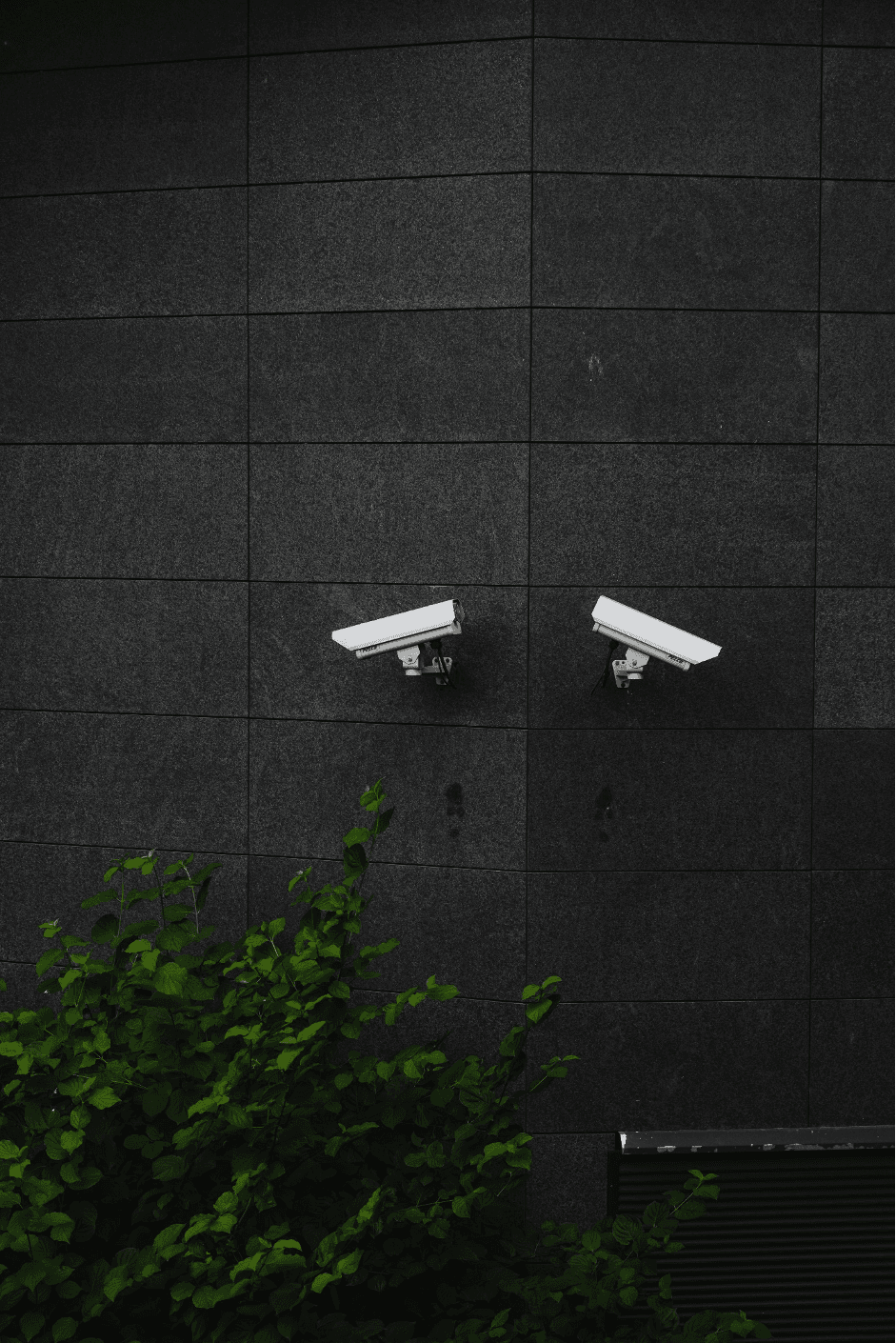 Do security cameras help prevent crime?