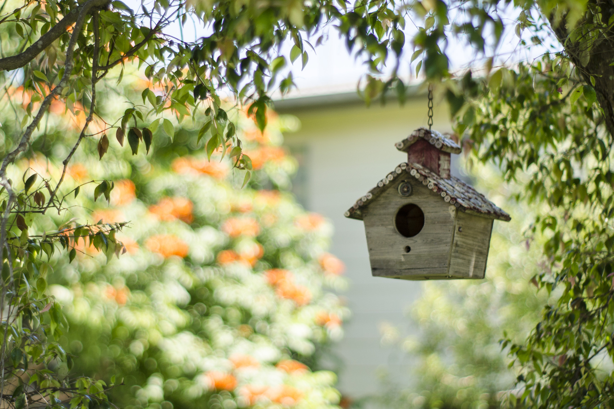 outdoor security camera 