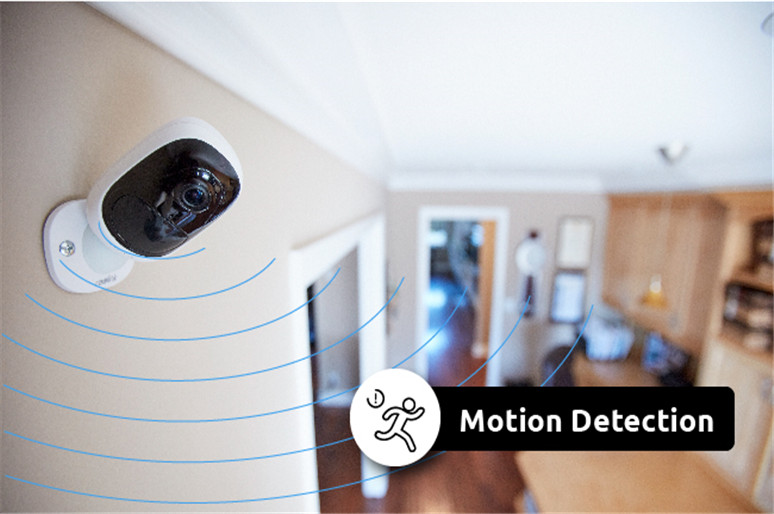 Night Vision Cameras - motion detection 