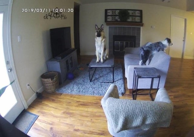 Home security cameras